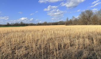 0001 CR-290, Asbury, MO 64832