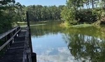 711 Galaxy Dr S, Abbeville, AL 39854
