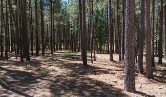 Cimarron Trail lot 551, Angel Fire, NM 87710