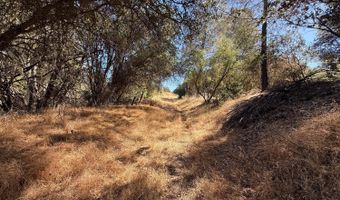 41902 Woodward Way, Ahwahnee, CA 93601