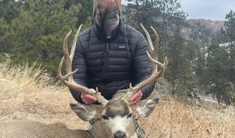 TBD Old Flowers Road, Bellvue, CO 80512