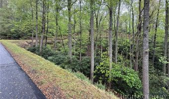 Daisy Ridge Road lot 36, Banner Elk, NC 28604