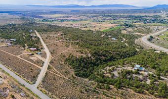 Lot 6 Nieman Road, Arroyo Hondo, NM 87513