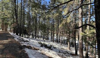 Lot 15 Champions Terrace, Angel Fire, NM 87710