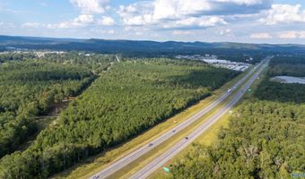 77 Acres Wilson St, Attalla, AL 35954