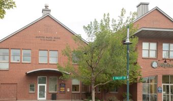 711 E Valley Rd 202A, Basalt, CO 81621