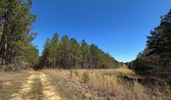 3 County Road 5112, Ethel, MS 38829