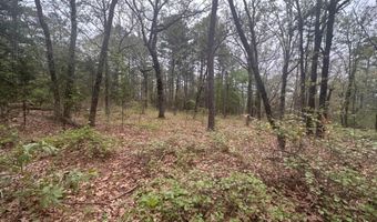 UNIT # 263B KIAMICHI WILDERNESS RD Unit # 63 63, Antlers, OK 74523