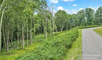 Featherwood Trail, Banner Elk, NC 28604