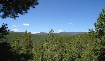383 Evergreen Rd, Black Hawk, CO 80422
