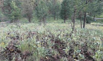 93 E Prospectors, Cascade, ID 83611