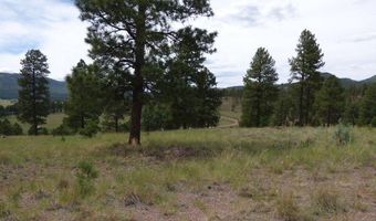 Lot 25a The Ranch At Alpine, Alpine, AZ 85920