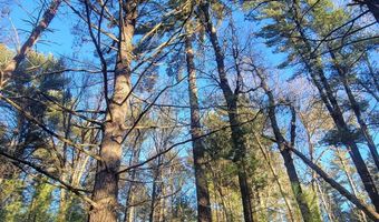 19 Th Pass Lot 15, Arkdale, WI 54613