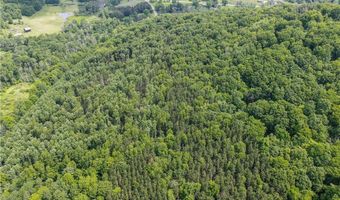 738 Four Mile Rd, Allegany, NY 14706