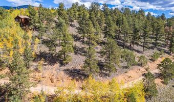 103 Gross Rd, Bailey, CO 80421