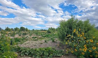 Bugling Bull Road, Cold Creek, NV 89124