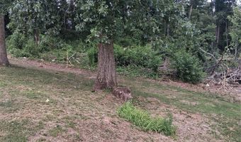 25 Oak Hill Dr 1, Asheville, NC 28806