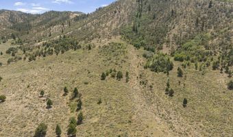 Swenson Rd, Bancroft, ID 83217