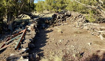 37 Co Rd N8174 10.1 Acres, Concho, AZ 85924