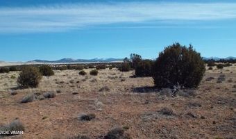 Parcel 107-52-046, Concho, AZ 85924