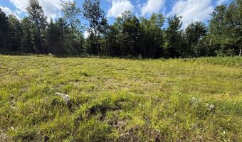 38 Monument Rd, Abbot, ME 04406