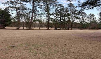 10716 Countyline Rd, Andrews, SC 29510