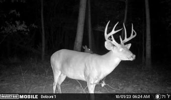 Gun Baoyu Road, Belzoni, MS 39038