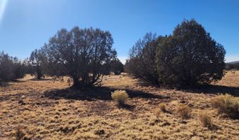 251 Se4 Juniperwood Rnch, Ash Fork, AZ 86320