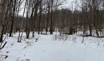 Rt-417, Andover, NY 14806
