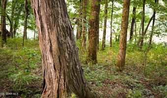 Cypress Pointe Drive lot 11, Brooksville, MS 39739