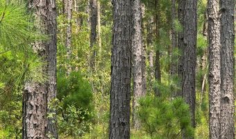 Luke Road lot 02, Ashburn, GA 31714