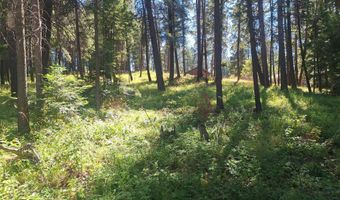 NNA Hanaford Rd Blk 3 Lot 17, Blanchard, ID 83804