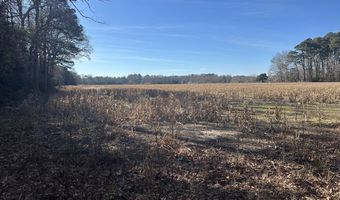 0 Bivalve Lodge Rd, Bivalve, MD 21814