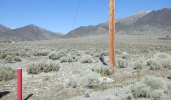 105 Tonkin Ct, Austin, NV 89310