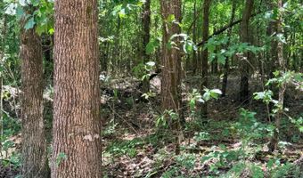 COUNTY ROAD 49, Beaverton, AL 35544