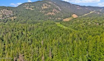 Lot 1 Kokanee Ave, Bayview, ID 83803
