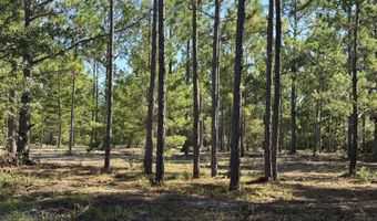 Adams Drive, Alford, FL 32420