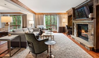 315 E Dean St B21-E7, Aspen, CO 81611