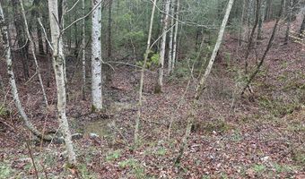 n/a Bluff View Loop, Allardt, TN 38504