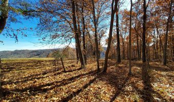 2529 Dry Valley Rd, Thorn Hill, TN 37881