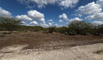 Fm-625 lot 0, Alice, TX 78332