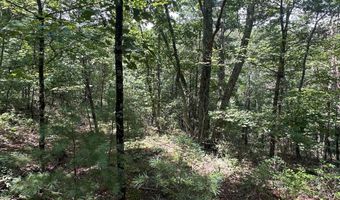 Lot 24 MT SNOW COURT, Basye, VA 22810