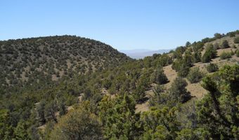 8210 Ml Crk Rd, Battle Mountain, NV 89820