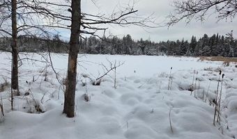 9606 Munger Rd, Afton, MI 49705