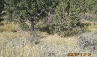 Couch Creek Road, Alturas, CA 96101