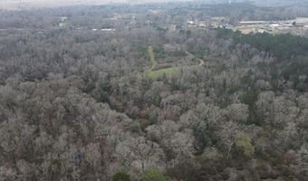 U.S. Highway 51, Bogue Chitto, MS 39629