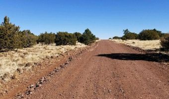 29 County Road 8069, Concho, AZ 85924