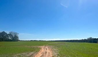 0 Tervin Mill Rd, Andalusia, AL 36421