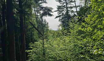 Province Road lot 26, Belmont, NH 03220