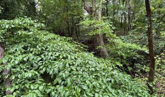100 Acres Highway 34 W, Beech Grove, AR 72412